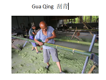Gua Qing.jpg