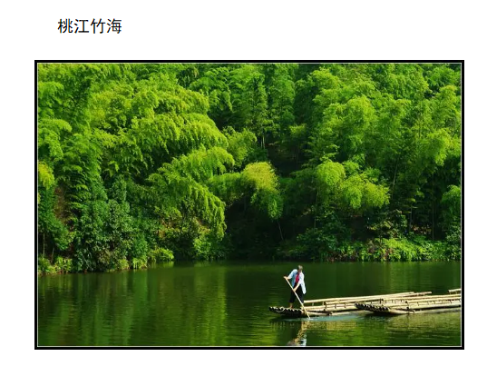 Bamboo Sea of Taojiang.jpg