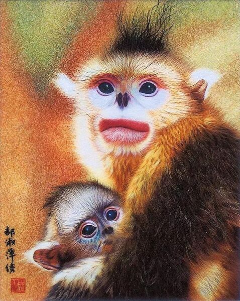 File:Golden snub-nosed monkey.jpg