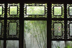 The Well-shaped lattice