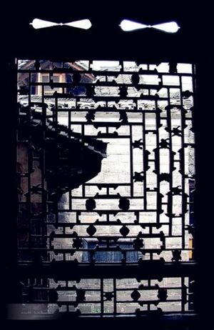 The H-shaped Lattice