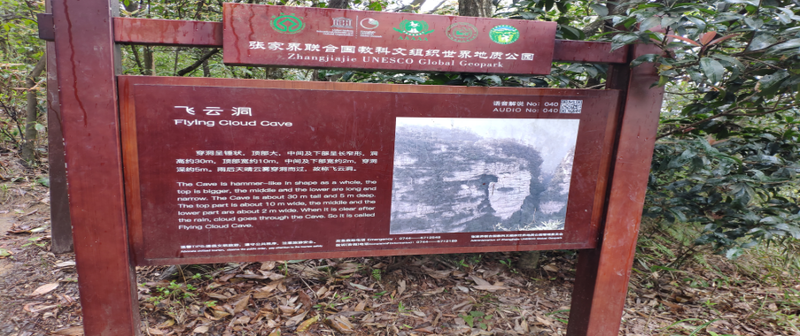 File:Zhang Jiajie.png