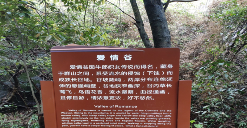 File:Zhang Jiajie4.png