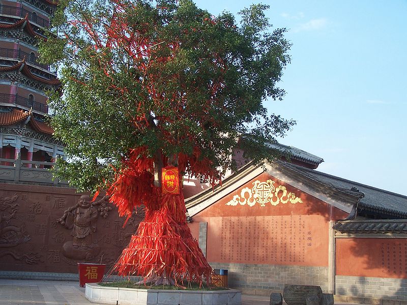 File:100 4254px-Chinese tree.JPG