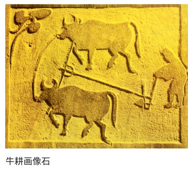 File:IMG 20210615 152805.jpg